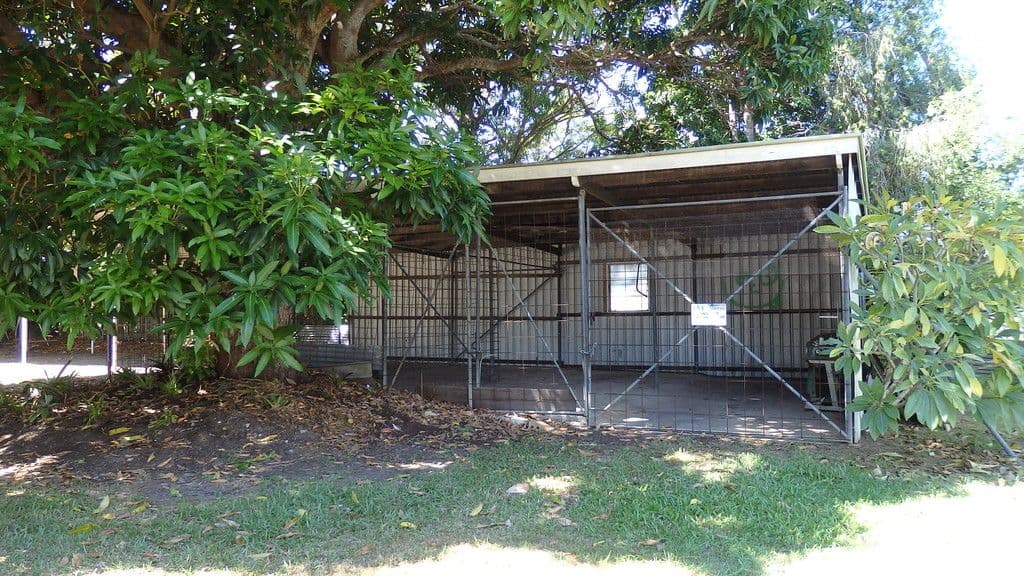 399 Esplanade, Torquay QLD 4655, Torquay - Thumbnail 4