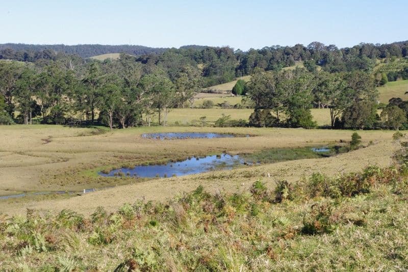 123,146,148 Princes Highway, CONJOLA NSW 2539, Conjola - Thumbnail 3