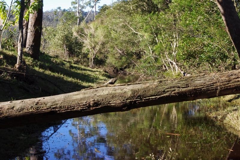 123,146,148 Princes Highway, CONJOLA NSW 2539, Conjola - Thumbnail 5