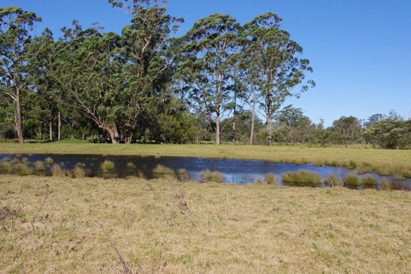 123,146,148 Princes Highway, CONJOLA NSW 2539, Conjola - Thumbnail 6