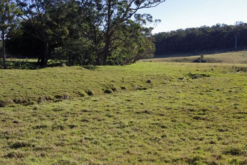 123,146,148 Princes Highway, CONJOLA NSW 2539, Conjola - Thumbnail 7