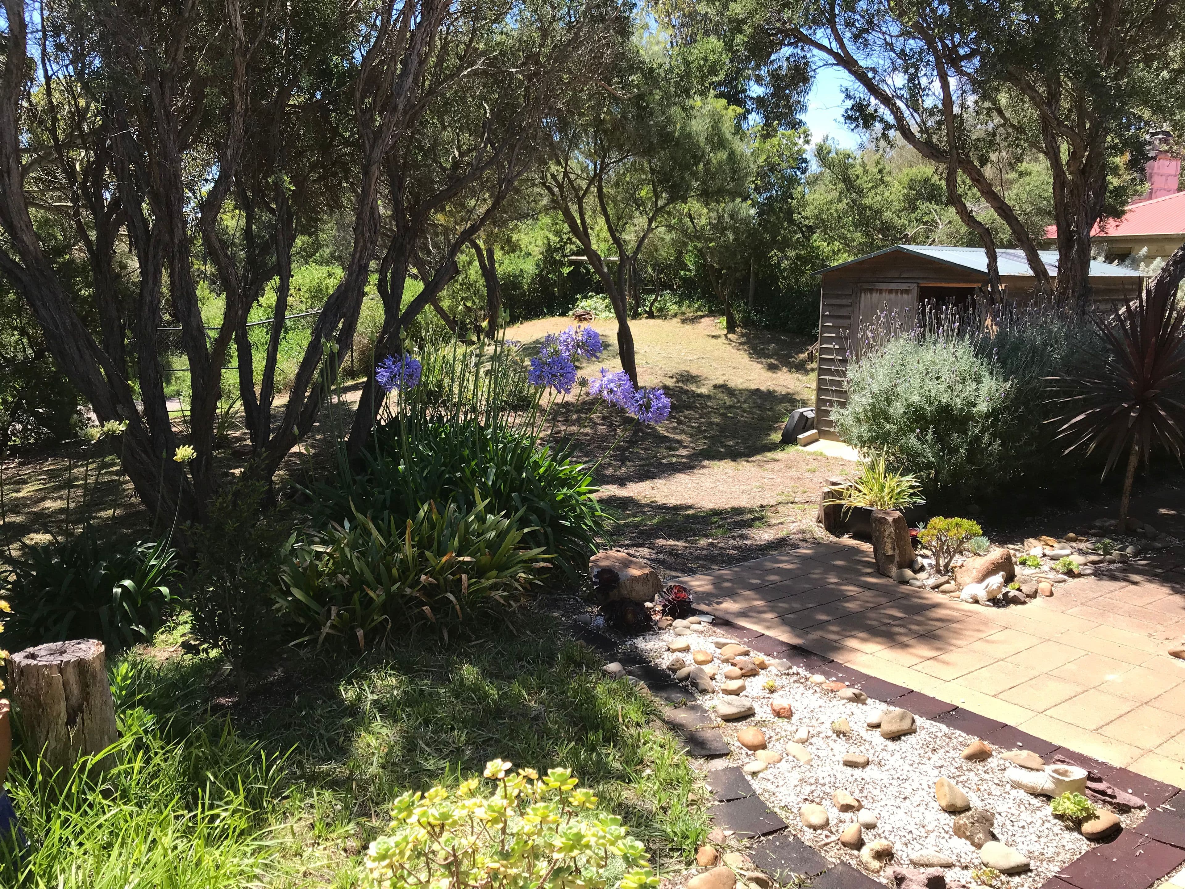 76 Cape Schanck Road, Cape Schanck VIC 3939, Cape Schanck - Thumbnail 7