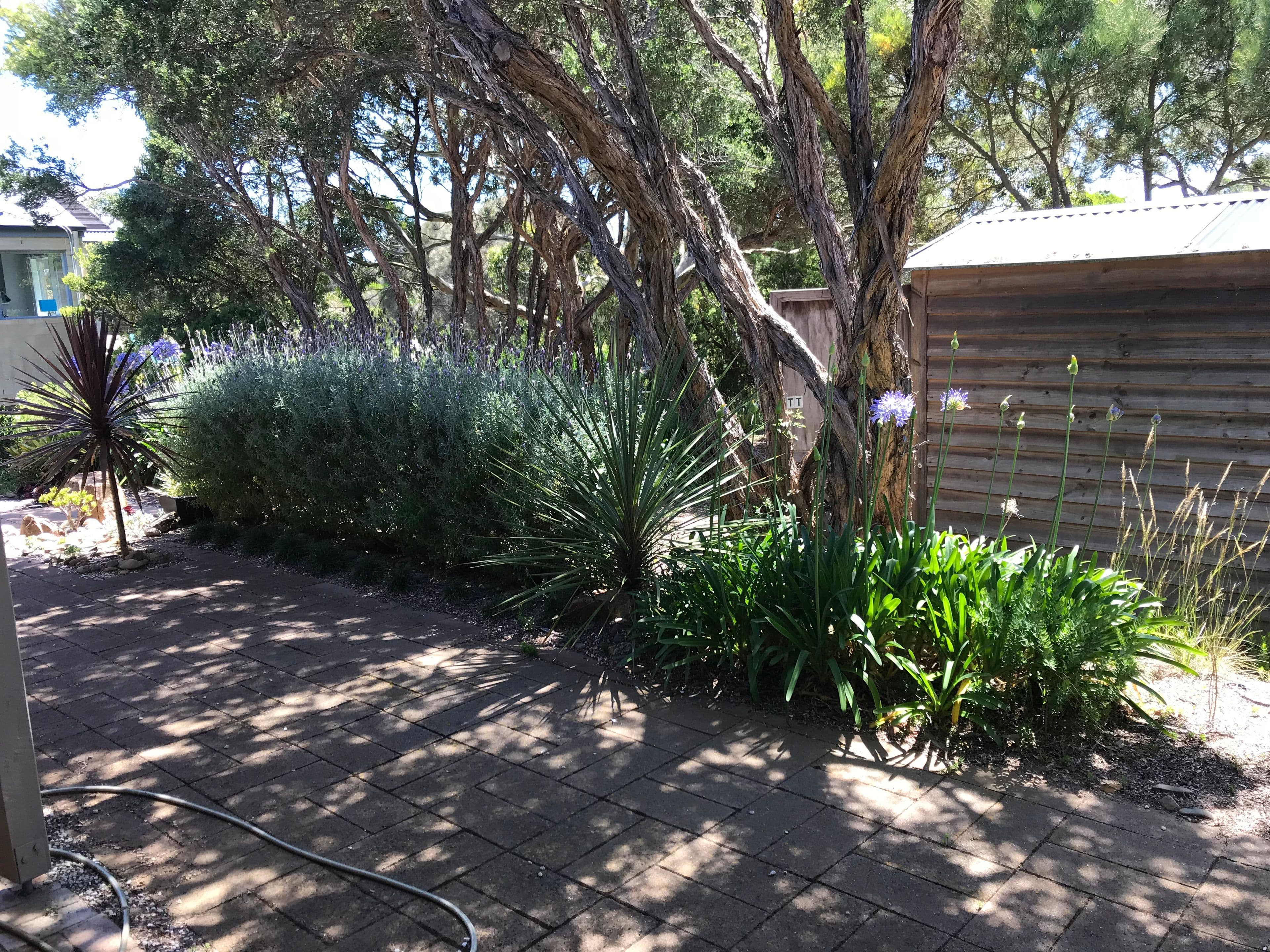 76 Cape Schanck Road, Cape Schanck VIC 3939, Cape Schanck - Thumbnail 8