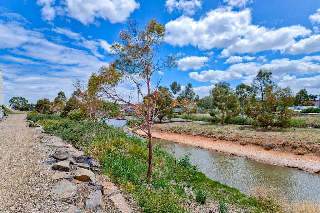 9 Dixon Lane, Mawson Lakes SA 5095, Mawson Lakes - Thumbnail 5