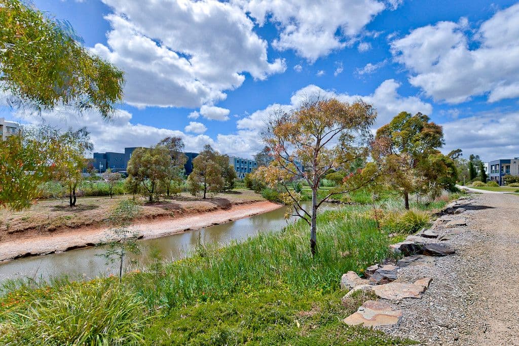 9 Dixon Lane, Mawson Lakes SA 5095, Mawson Lakes - Thumbnail 6