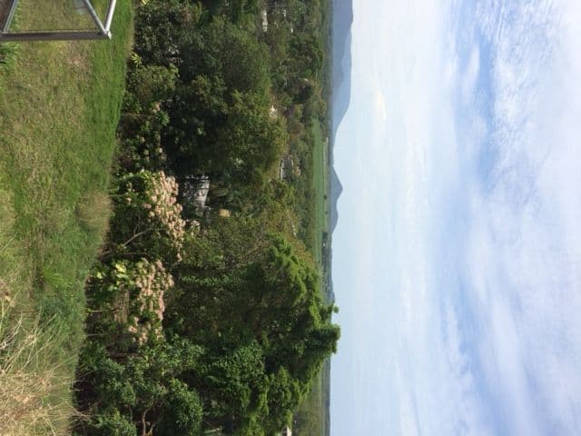24 Behan Street, STRATFORD QLD 4870, Stratford - Thumbnail 4