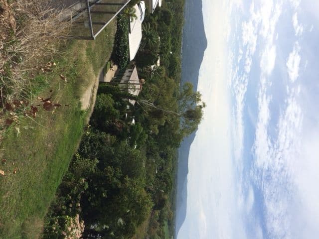 24 Behan Street, STRATFORD QLD 4870, Stratford - Thumbnail 7