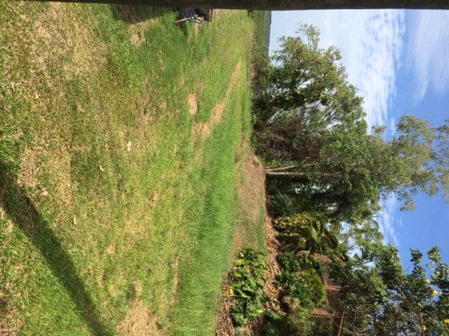 24 Behan Street, STRATFORD QLD 4870, Stratford - Thumbnail 8
