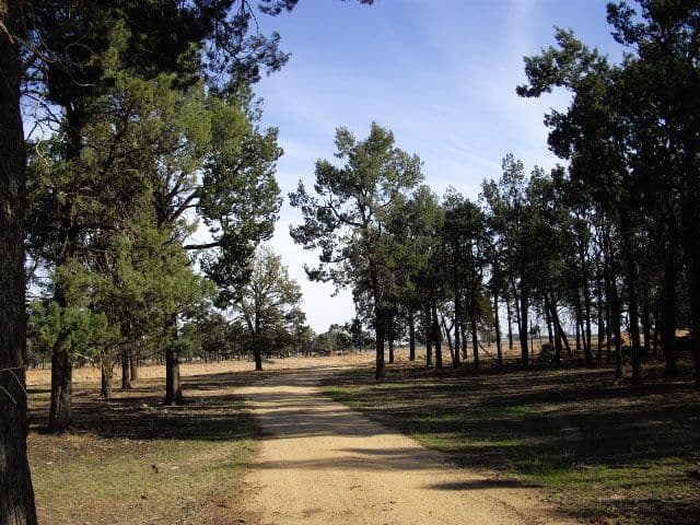 Lot 5 Thyra Road, MOAMA NSW 2731, Moama - Image 1