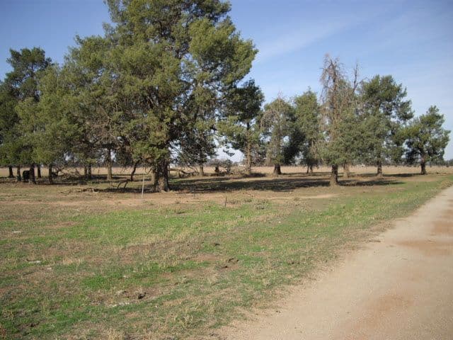 Lot 5 Thyra Road, MOAMA NSW 2731, Moama - Thumbnail 2