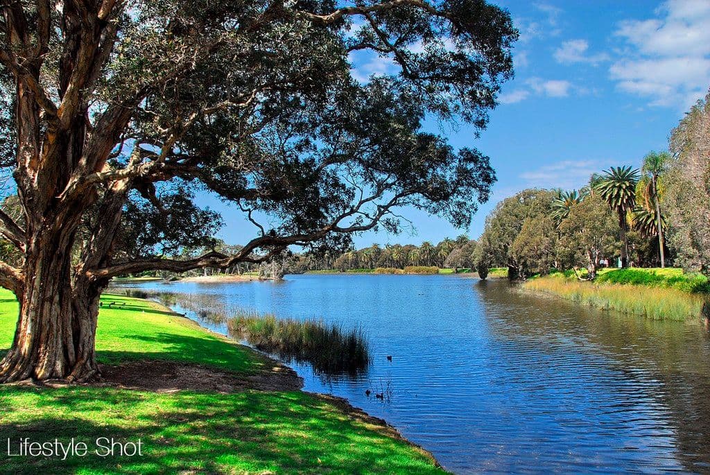 326 Edgecliff Road, Woollahra NSW 2025, Woollahra - Thumbnail 6