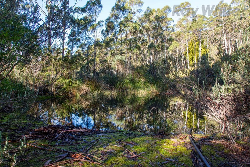 101 Devlyns Road, Birchs Bay TAS 7162, Birchs Bay - Thumbnail 4