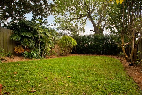 49a Market Street, NAREMBURN NSW 2065, Naremburn - Thumbnail 6