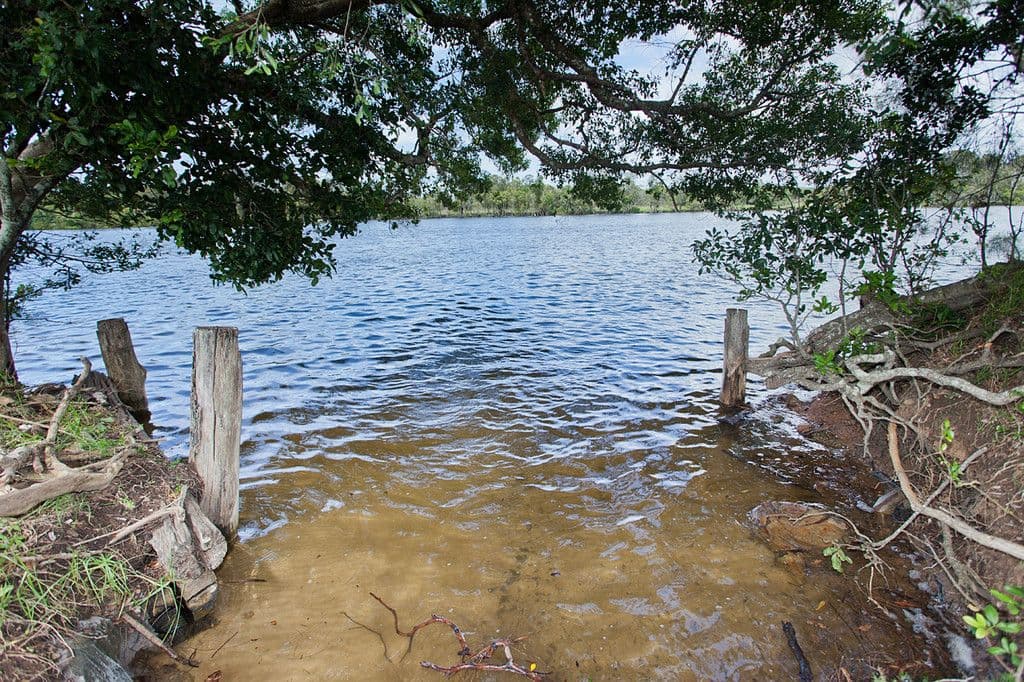319 Manning Point Road, Oxley Island NSW 2430, Oxley Island - Thumbnail 5