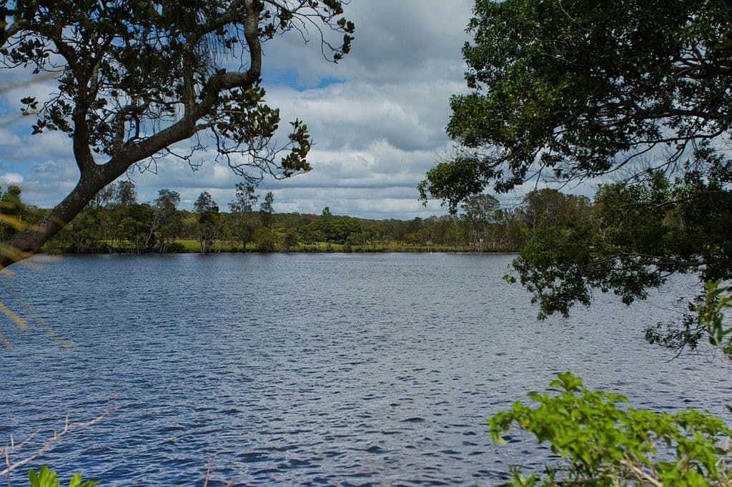 319 Manning Point Road, Oxley Island NSW 2430, Oxley Island - Thumbnail 6