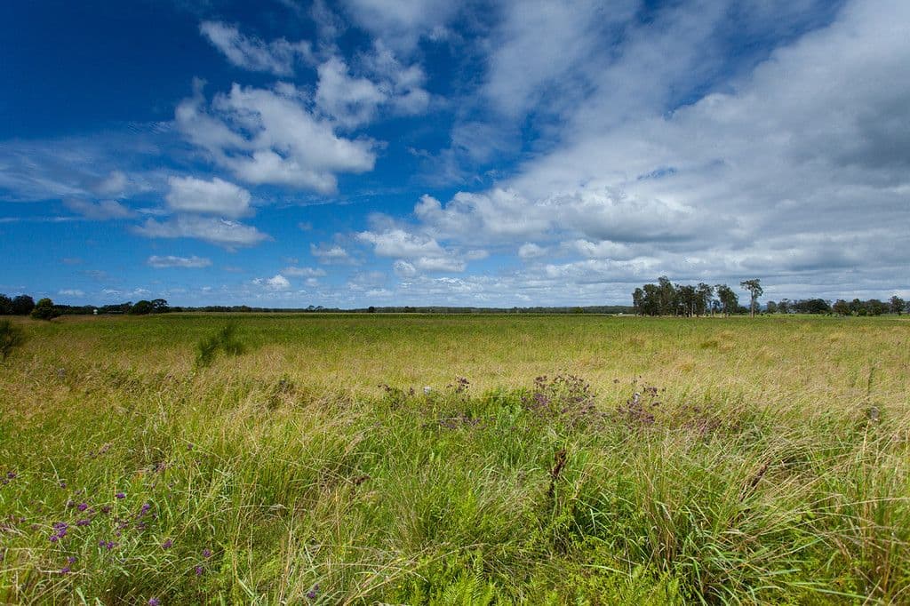 319 Manning Point Road, Oxley Island NSW 2430, Oxley Island - Thumbnail 7