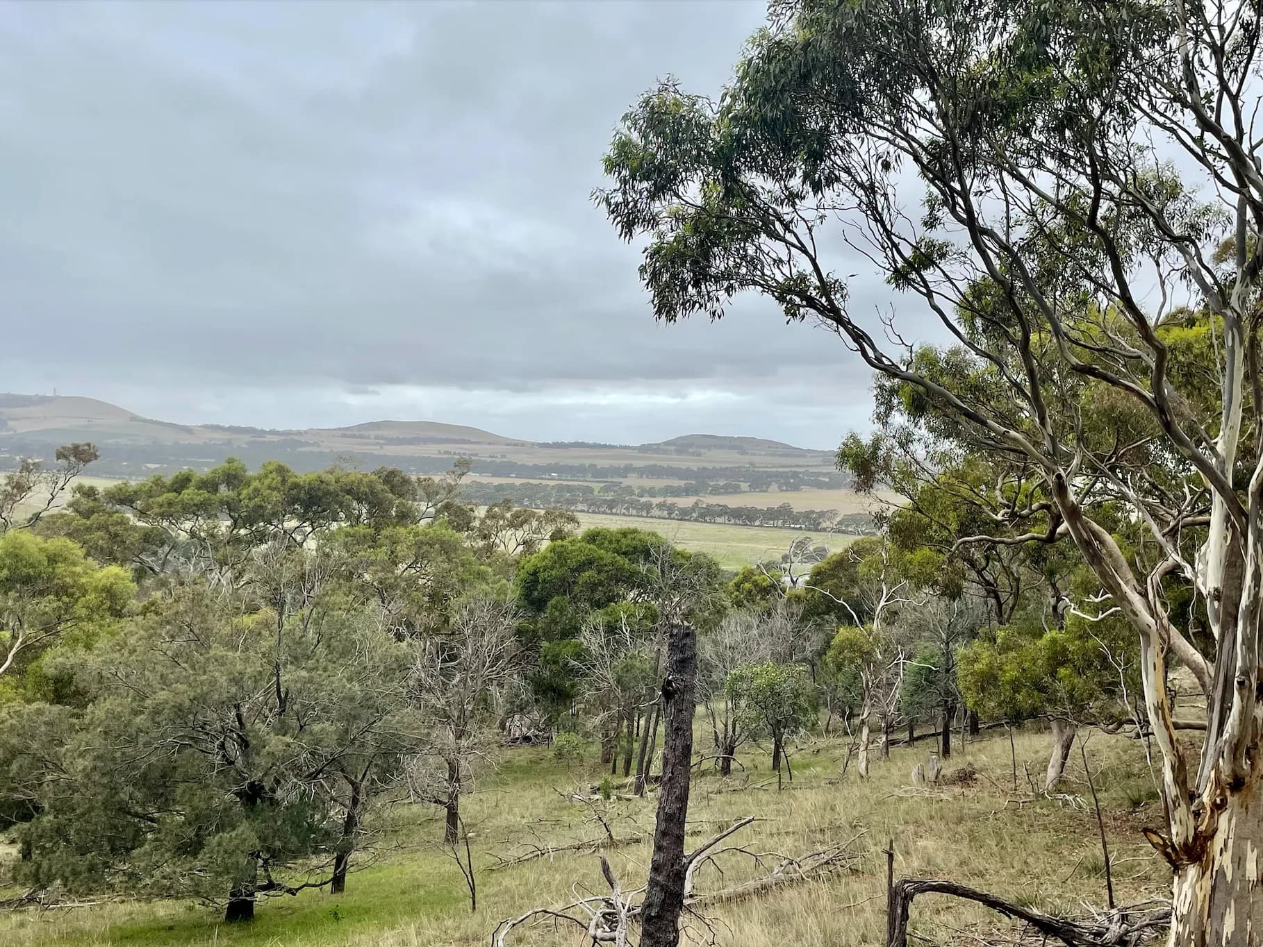350 O'Neils Lane, ANAKIE VIC 3213, Anakie - Thumbnail 2