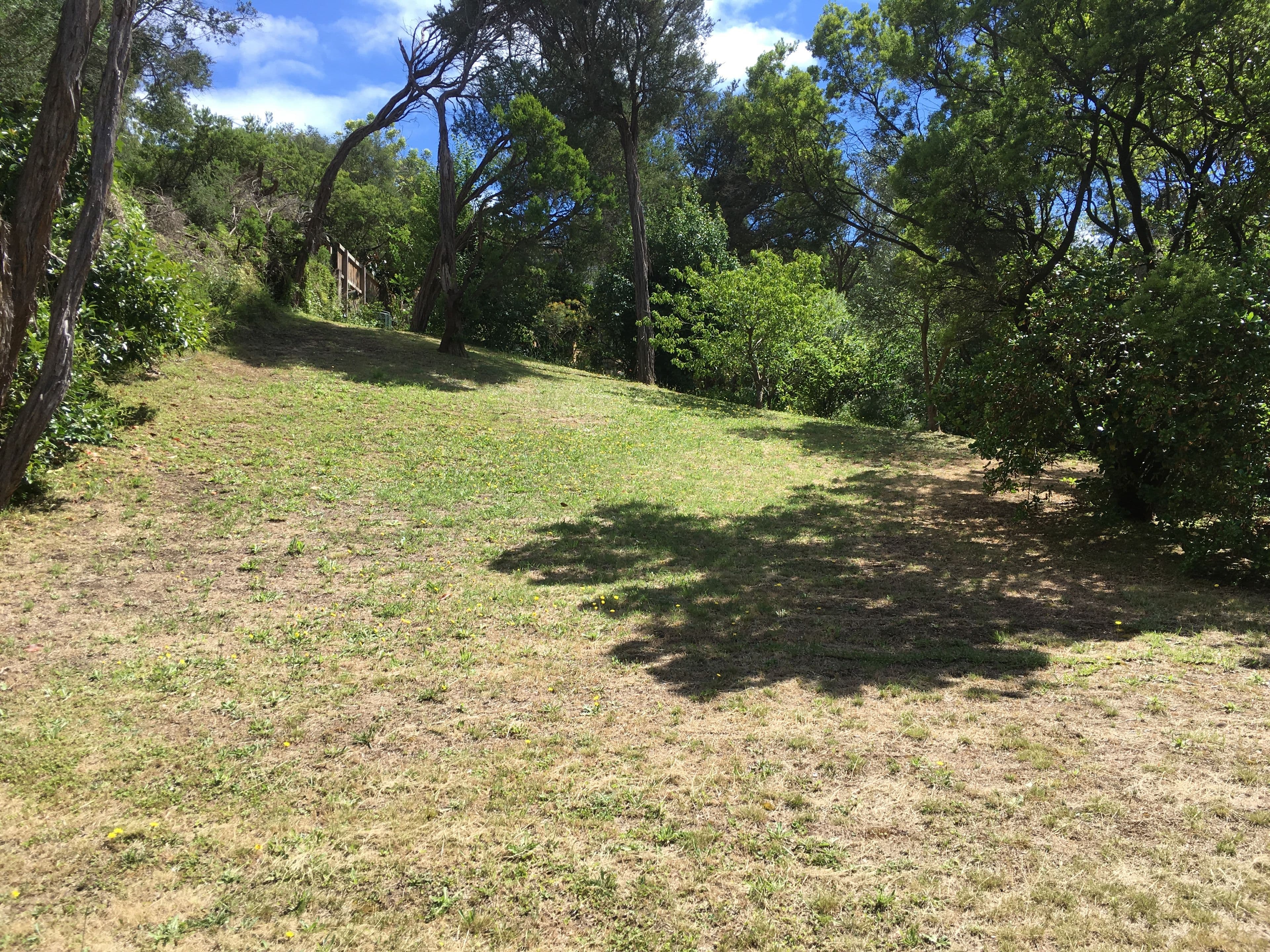 20 Sussex Road, Rye VIC 3941, Rye - Thumbnail 4