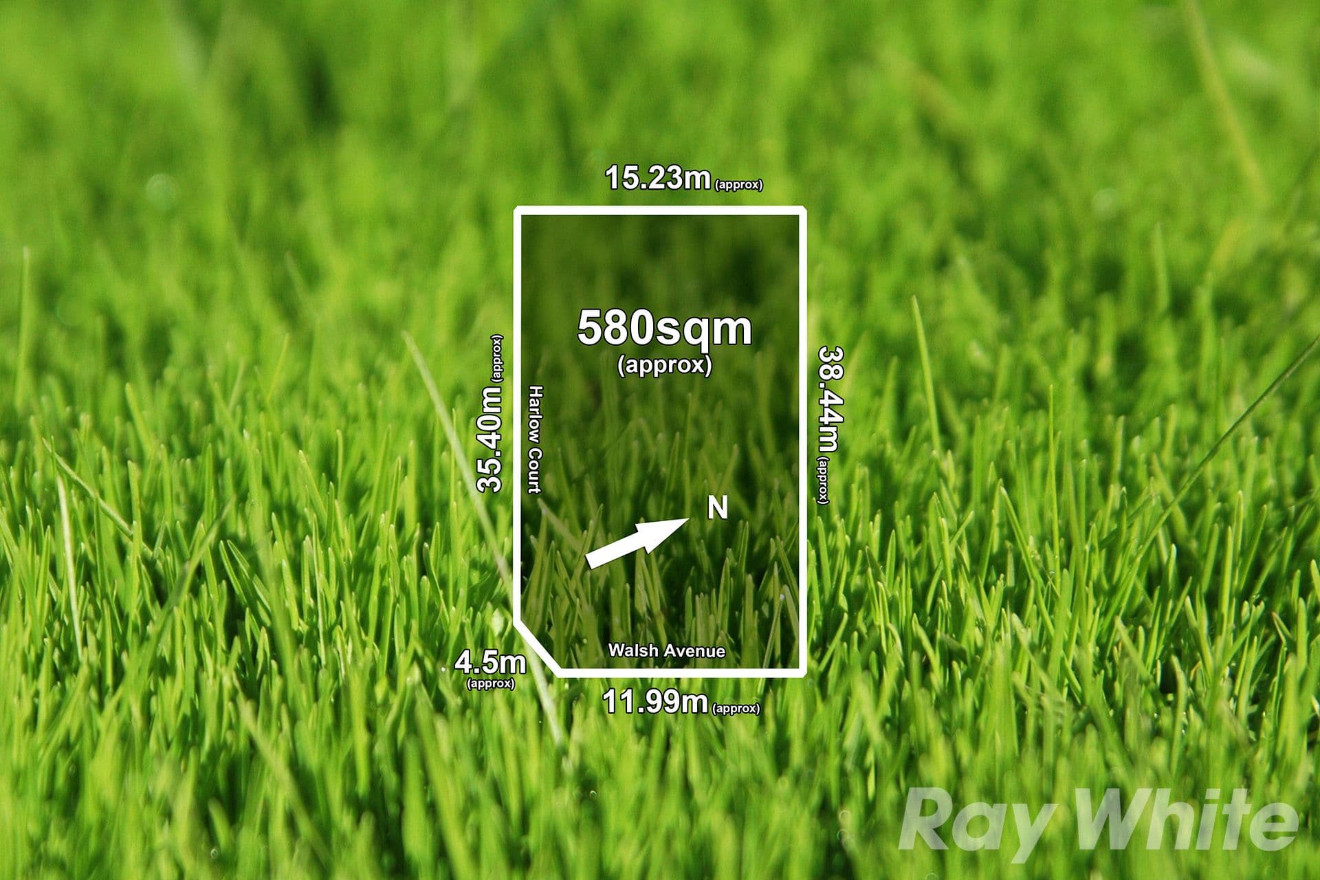 7 Walsh Avenue, Moorabbin VIC 3189, Moorabbin - Thumbnail 6