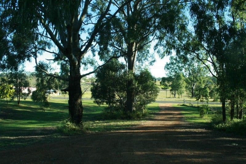 154/9 Dux Drive, Bongaree, QLD, 4507, Bongaree - Thumbnail 7