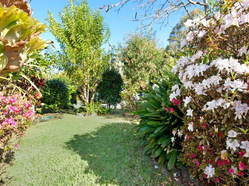 14 Kalanda Court, Dicky Beach QLD 4551, Dicky Beach - Thumbnail 3