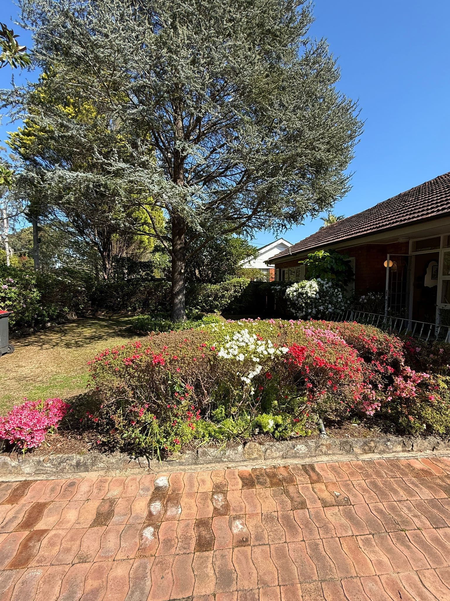 111 Maxwell Street, Turramurra NSW 2074, South Turramurra - Image 1