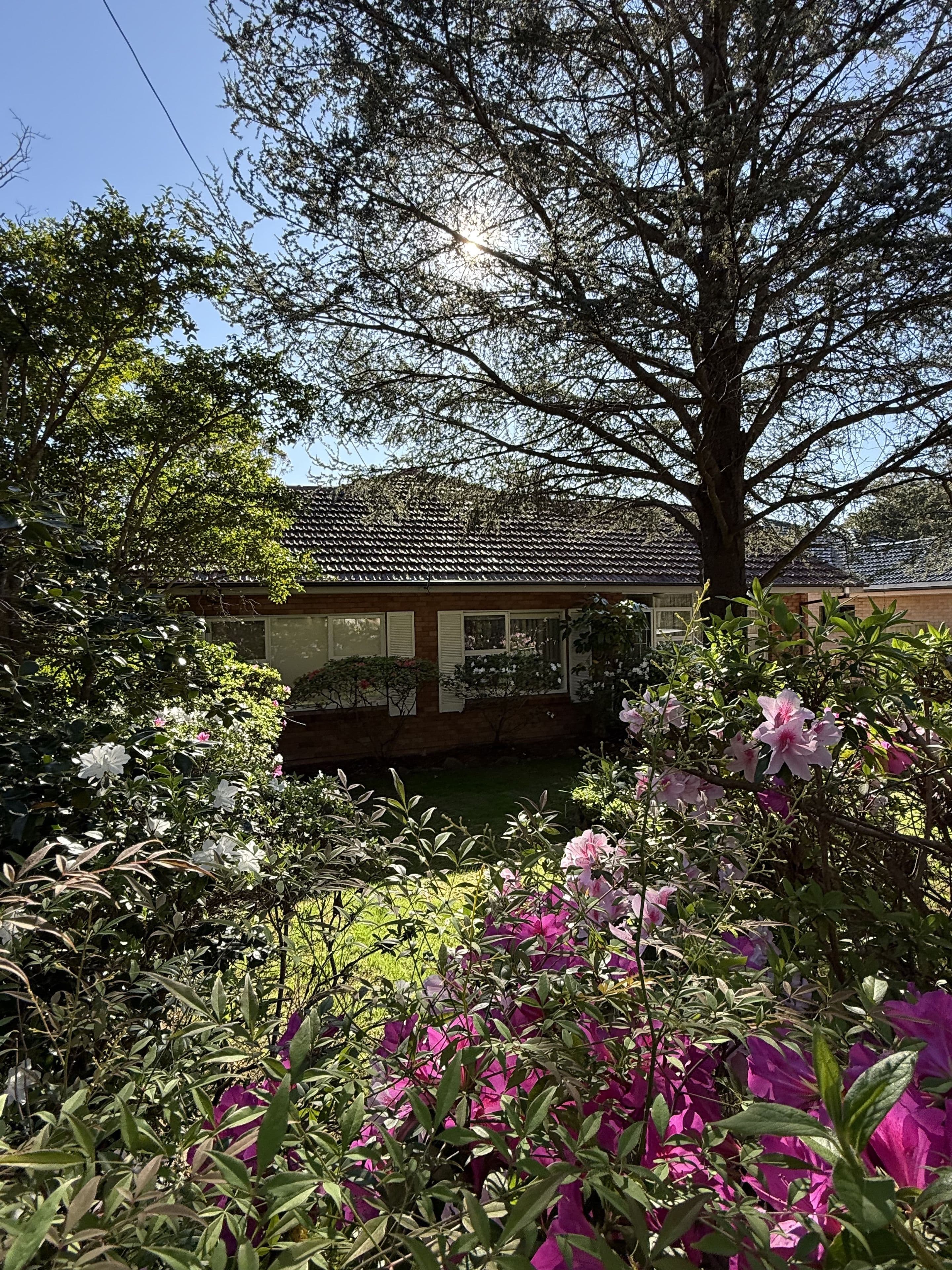 111 Maxwell Street, Turramurra NSW 2074, South Turramurra - Thumbnail 8