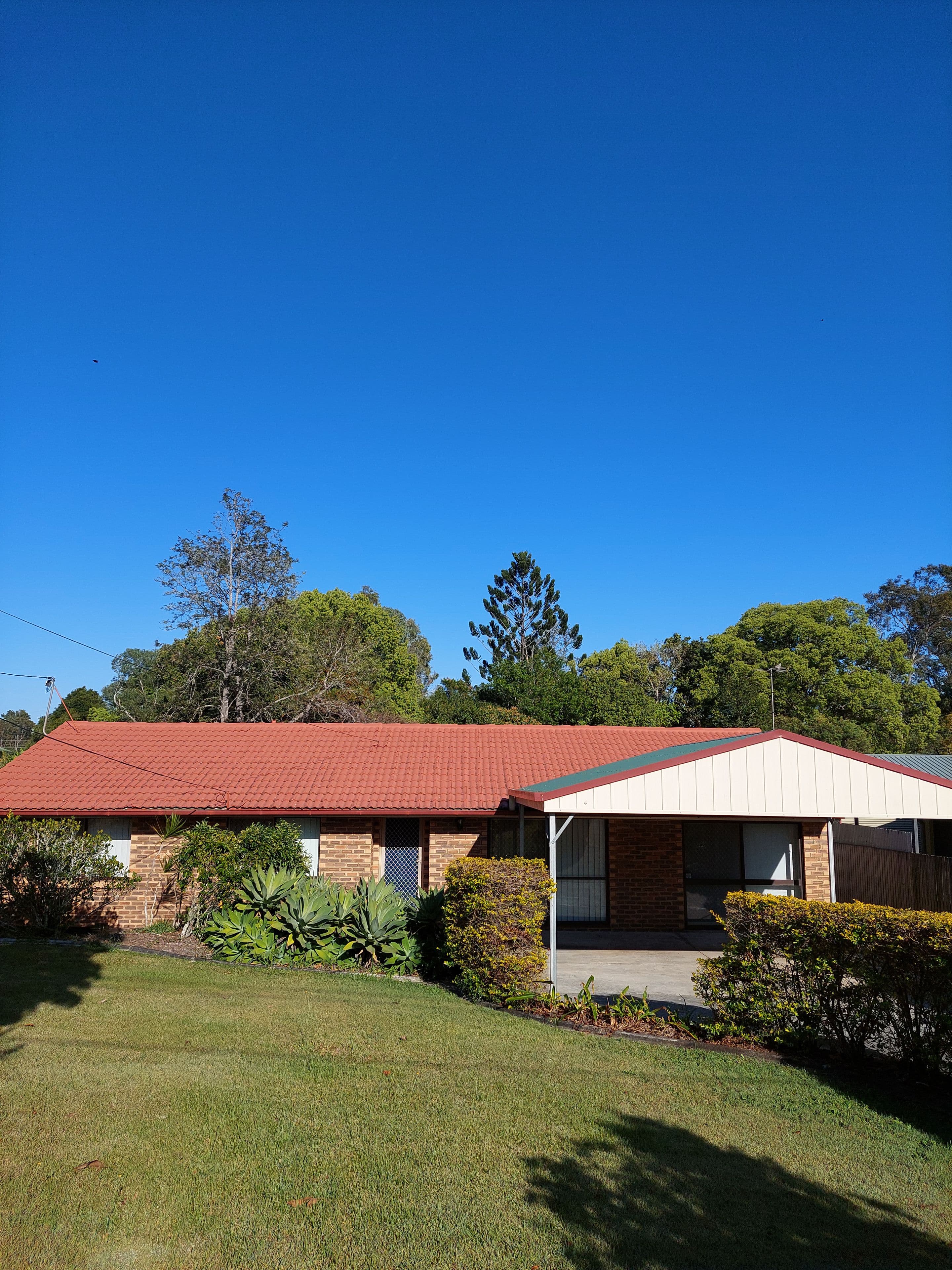 3 Conifer Street, Daisy Hill QLD 4127, Daisy Hill - Image 1