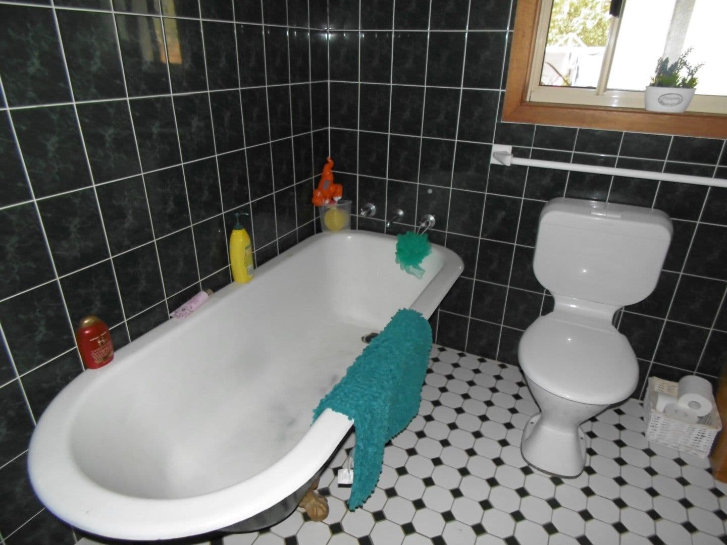 357 Henry Parkes Way, Parkes - Thumbnail 8