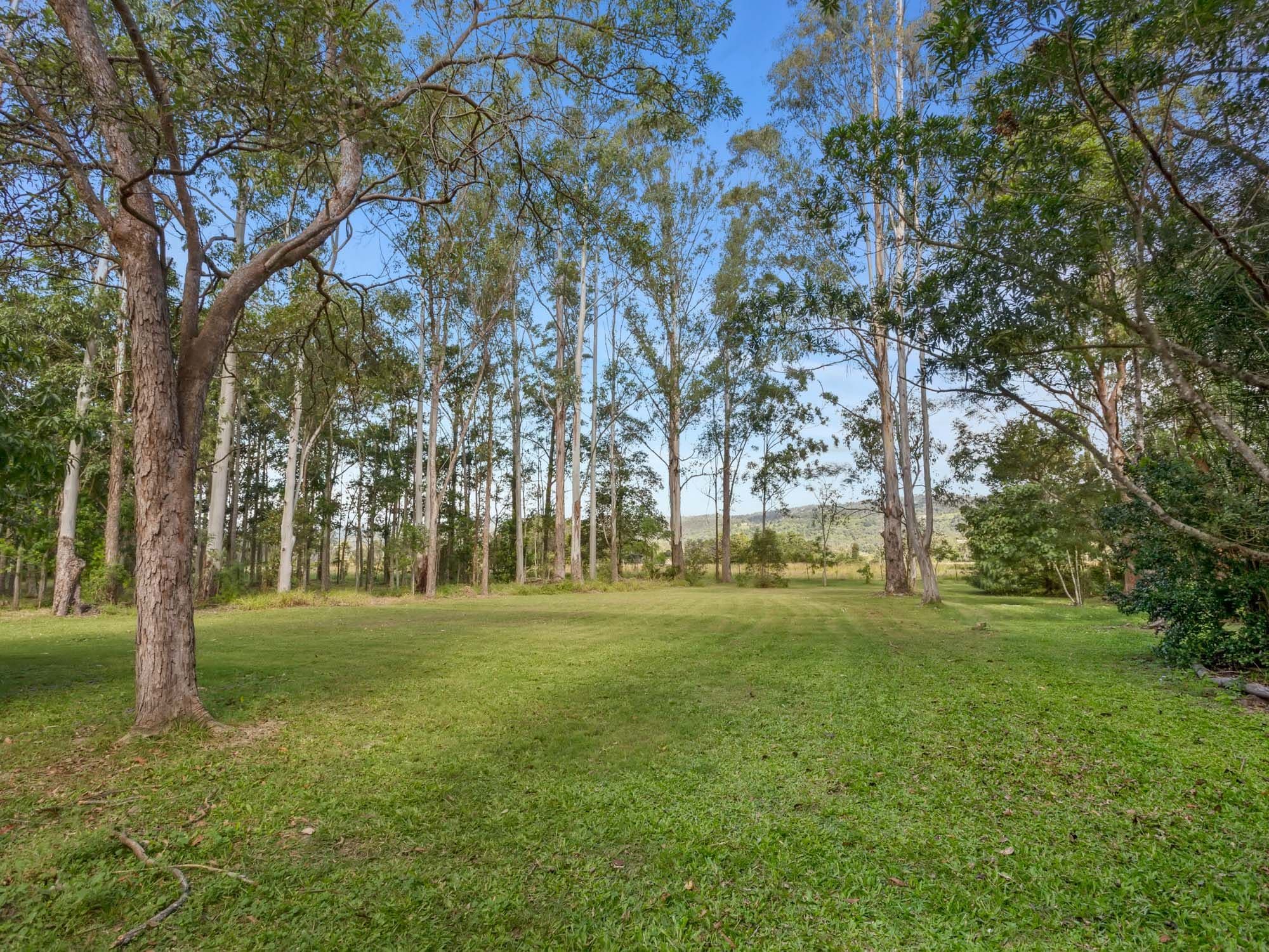 9 Salix Court, Wights Mountain QLD 4520, Wights Mountain - Thumbnail 2