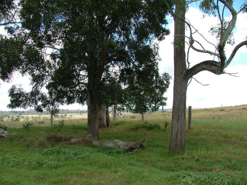 L124 New England Highway, CROWS NEST QLD 4355, Crows Nest - Thumbnail 3