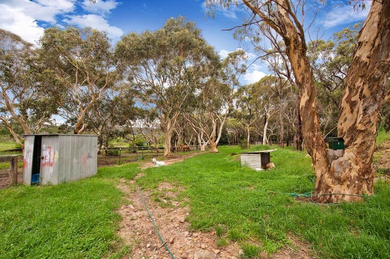 119 Booralie Road, TERREY HILLS NSW 2084, Terrey Hills - Thumbnail 8