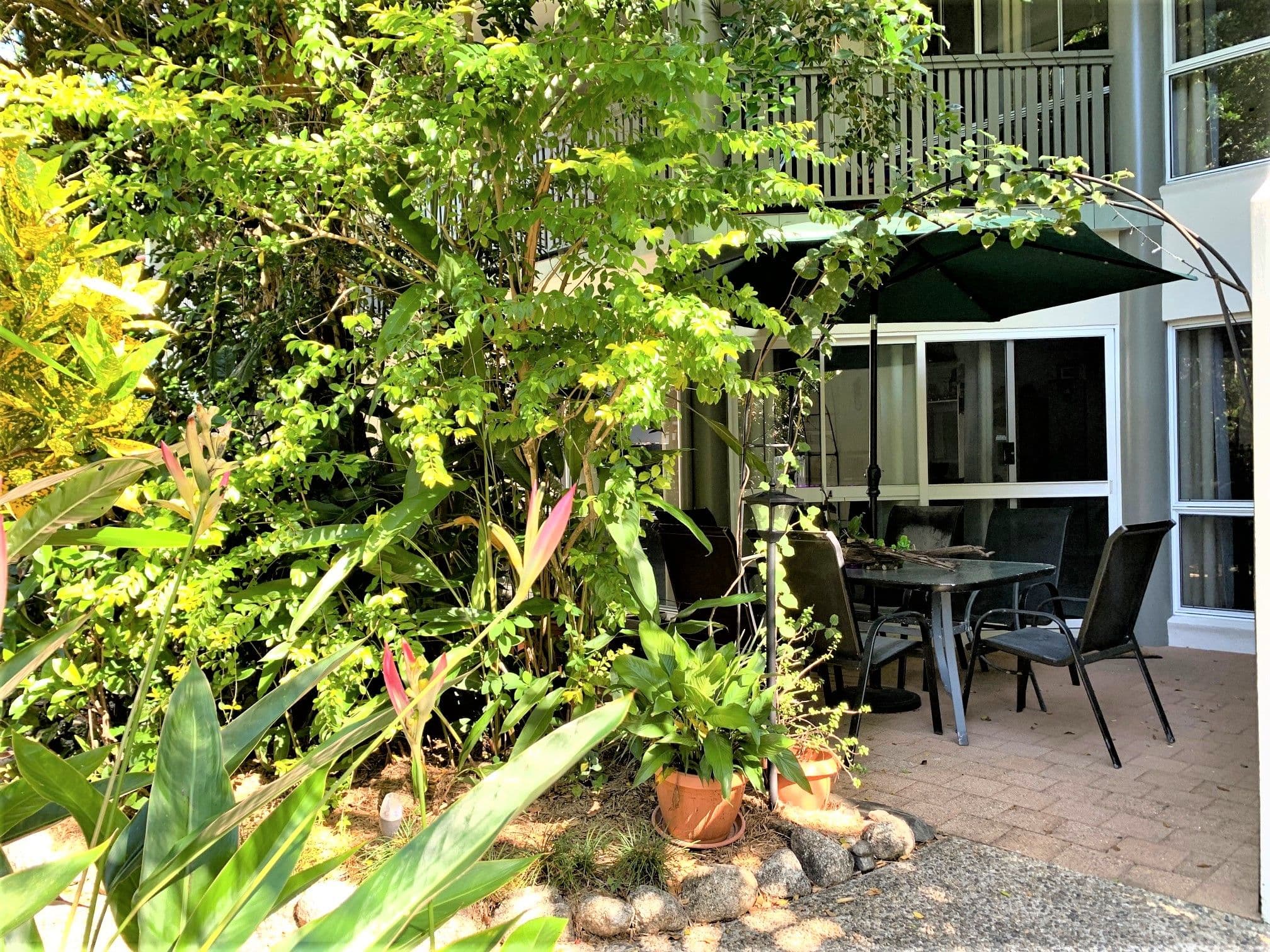 11 Tropic Court, Port Douglas QLD 4877, Port Douglas - Thumbnail 2