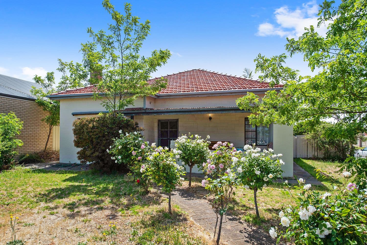 59 Kingborn Avenue, Seaton SA 5023, Seaton - Thumbnail 2