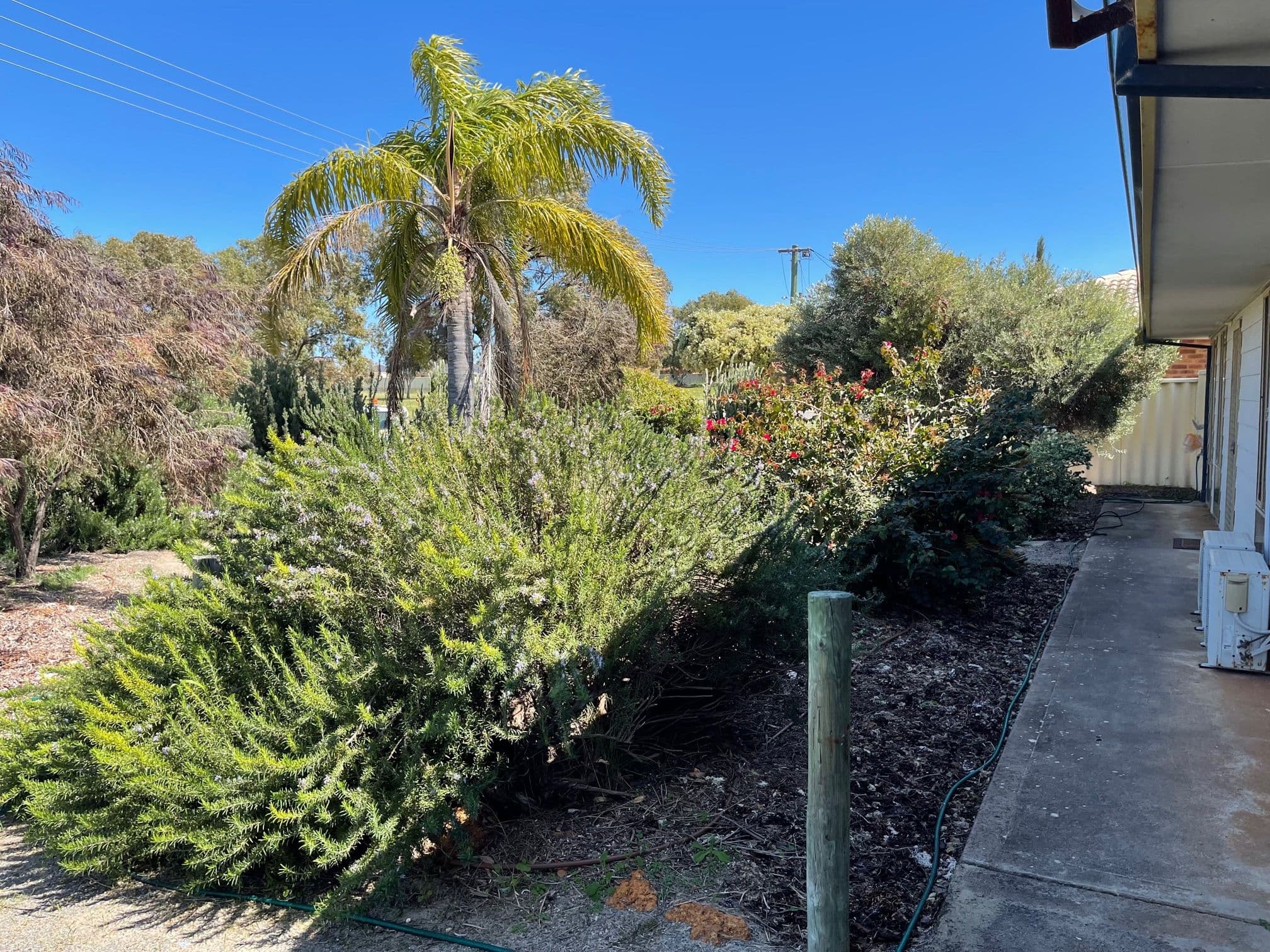 6 Canny Place, Port Denison WA 6525, Port Denison - Thumbnail 2