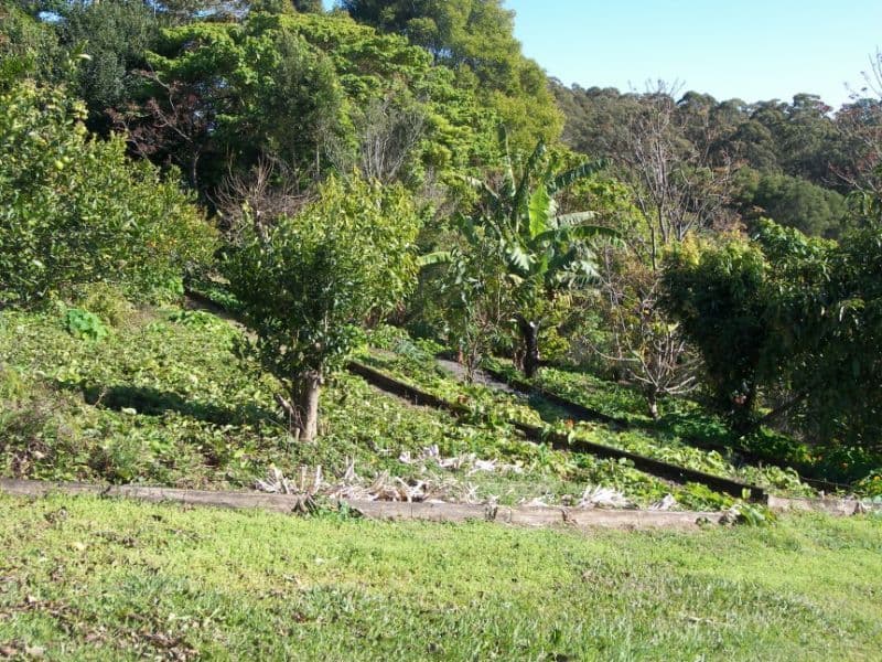 23 Rees Lane, REESVILLE QLD 4552, Reesville - Thumbnail 5