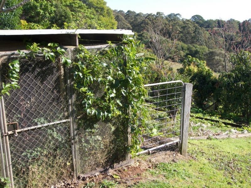 23 Rees Lane, REESVILLE QLD 4552, Reesville - Thumbnail 8