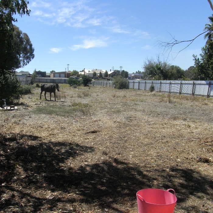55 Russell Street, HOWLONG NSW 2643, Howlong - Thumbnail 3