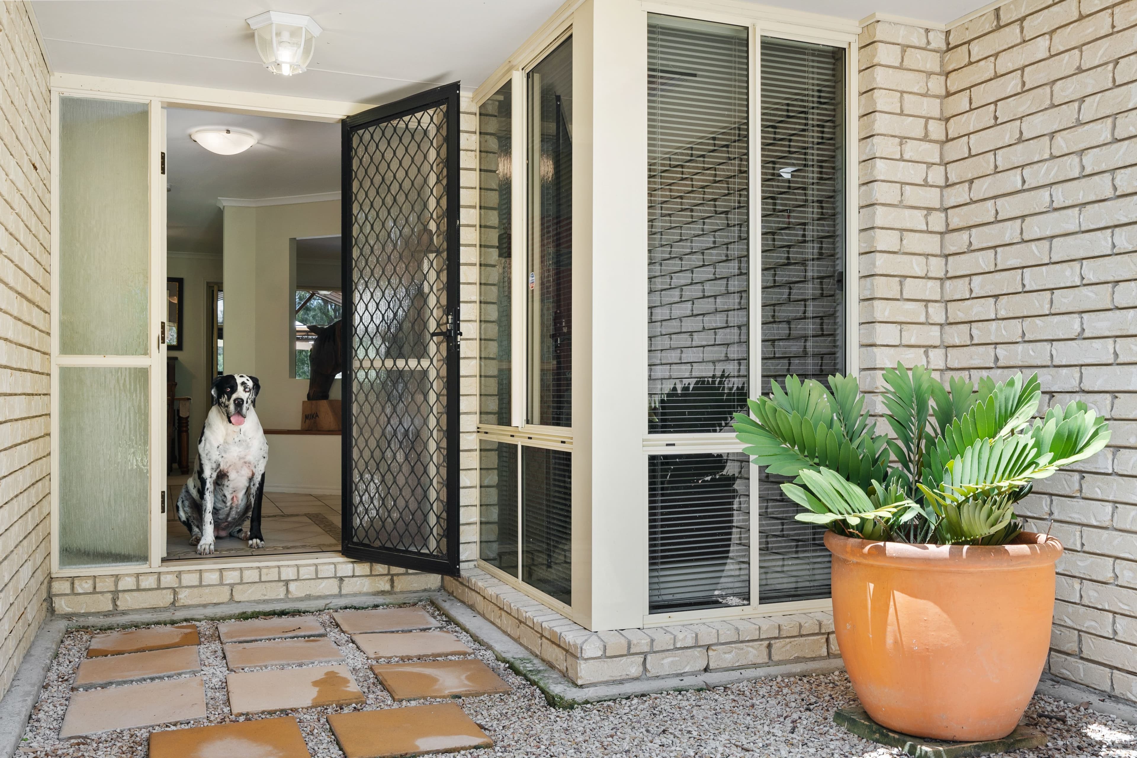 22 Pinkwood Street, Cedar Vale QLD 4285, Cedar Vale - Thumbnail 8