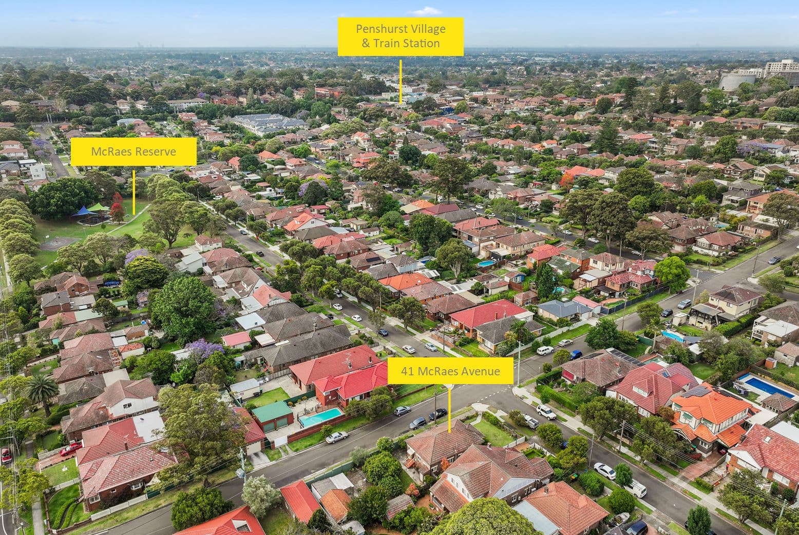 41 Mcraes Avenue, Penshurst NSW 2222, Penshurst - Thumbnail 8