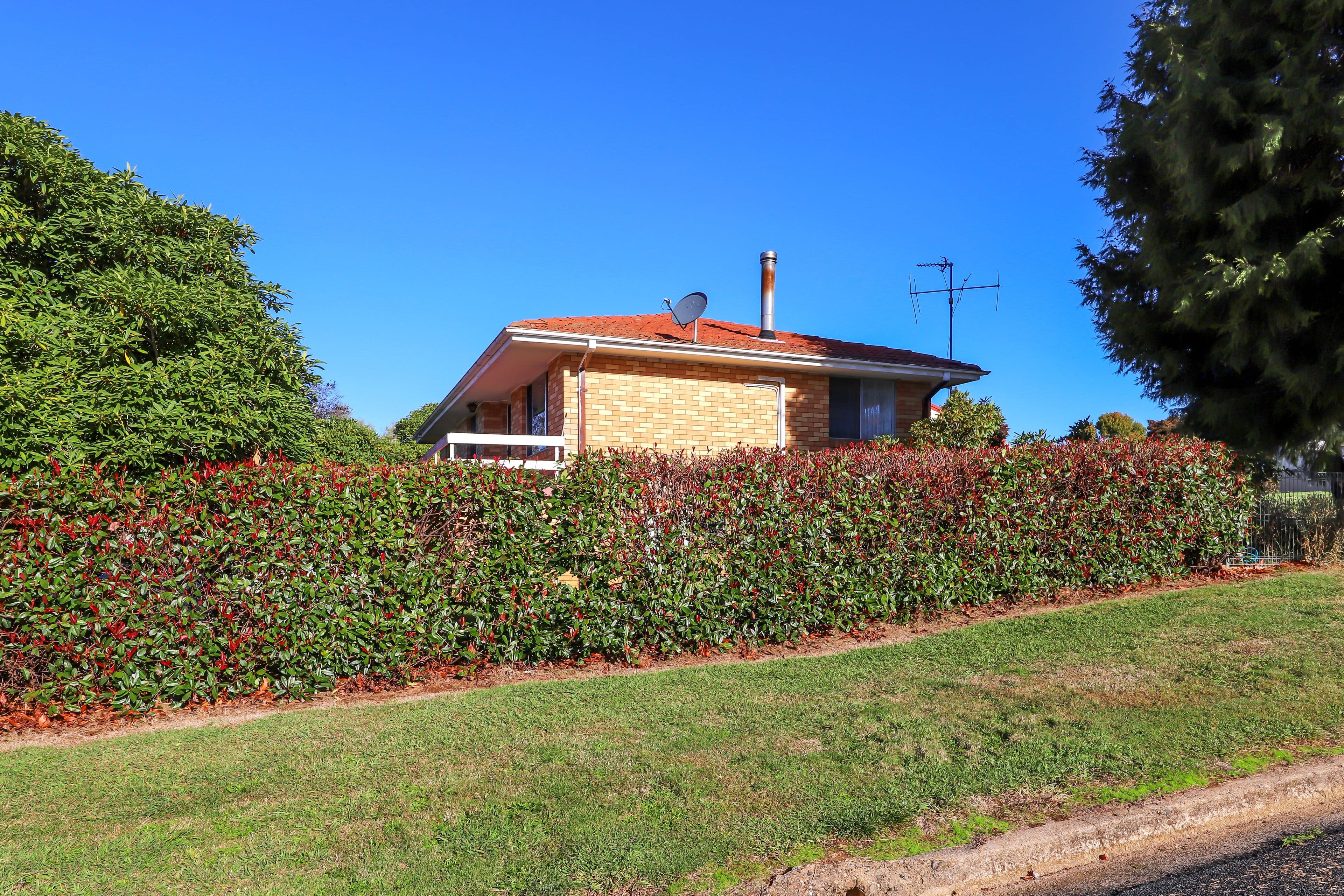 27 Mayday Road, Batlow NSW 2730, Batlow - Thumbnail 5