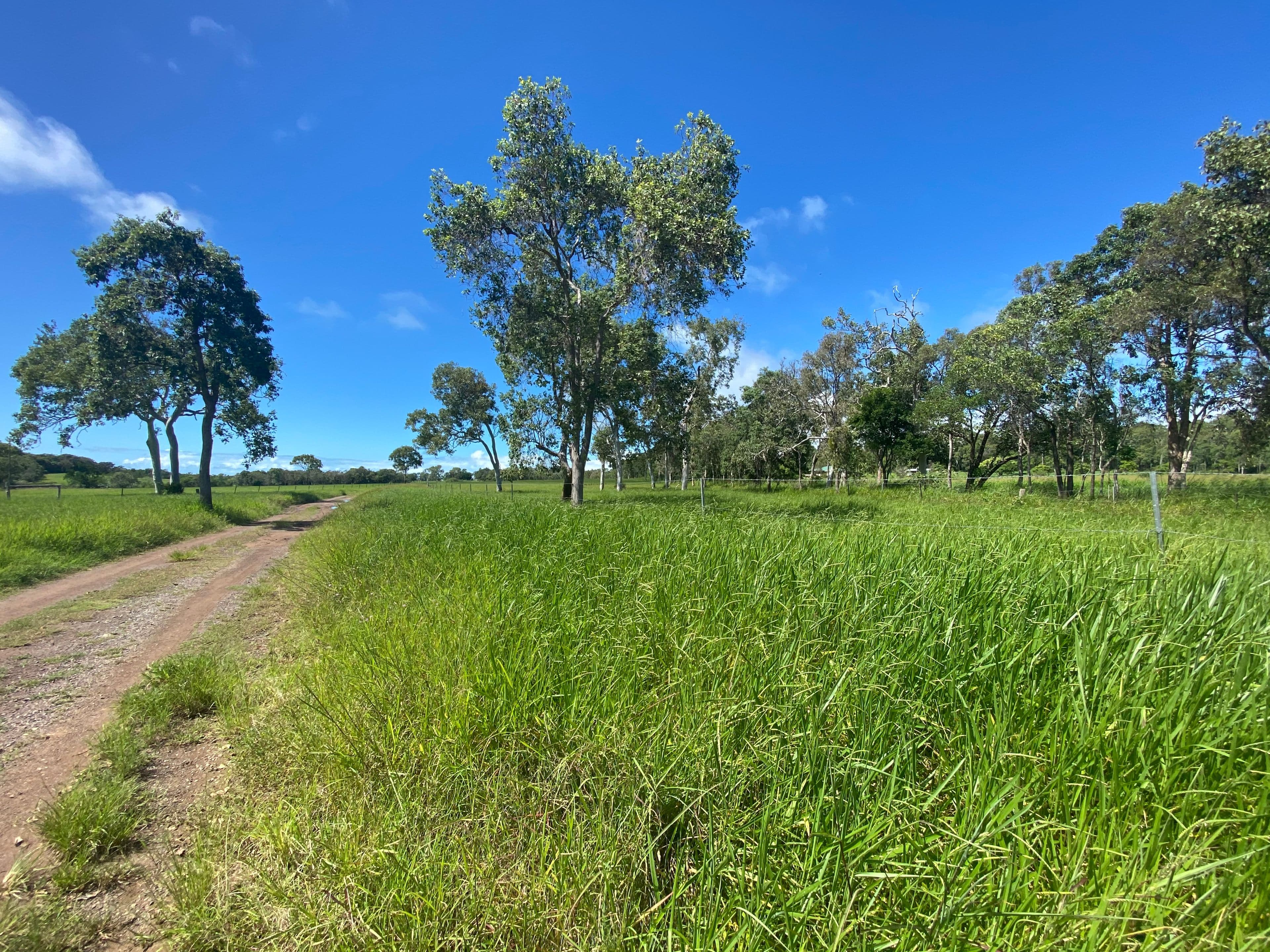 155 Finato Road, Sarina Beach QLD 4737, Sarina Beach - Thumbnail 3