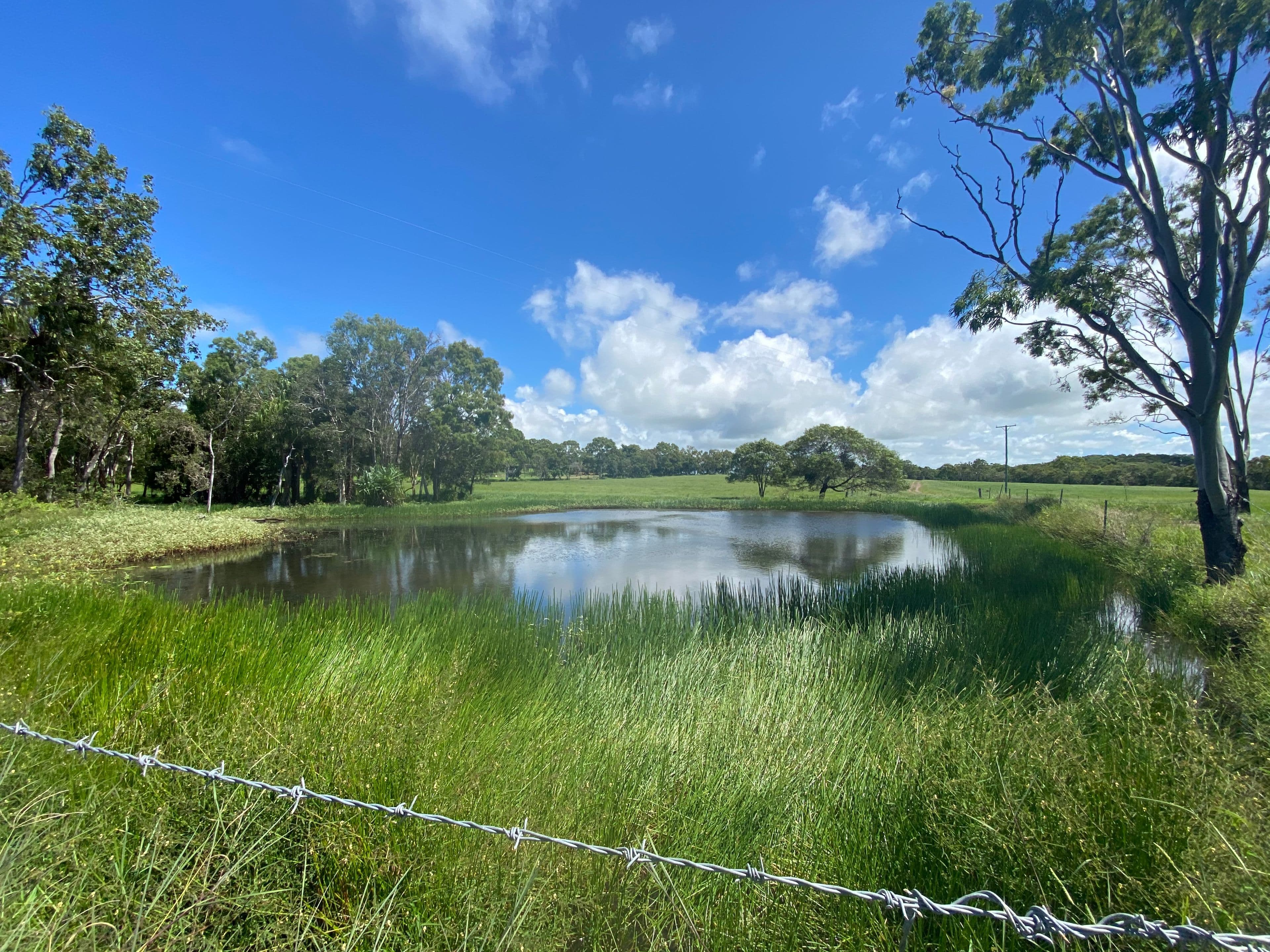 155 Finato Road, Sarina Beach QLD 4737, Sarina Beach - Thumbnail 4