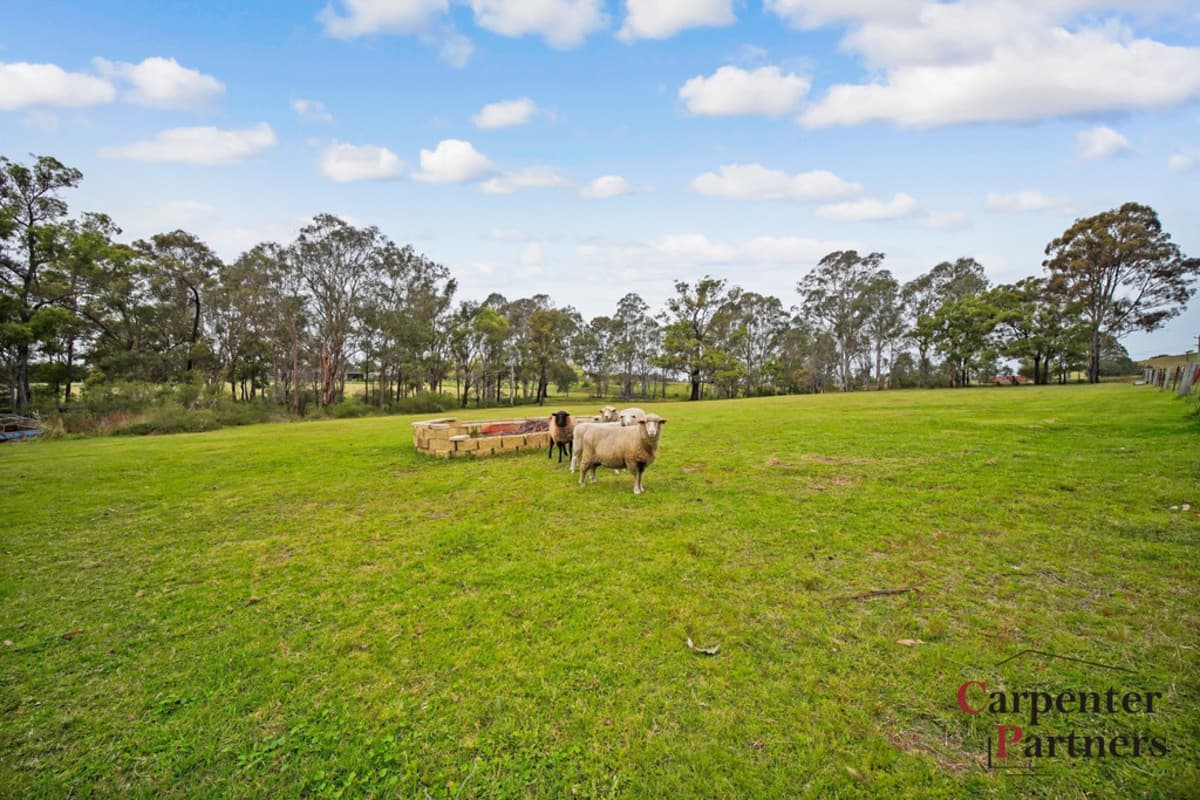146 Lyrebird Road, PHEASANTS NEST, Pheasants Nest - Thumbnail 6
