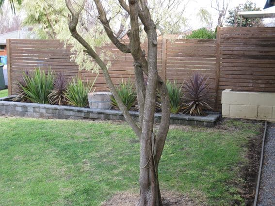 11 Lange Street, MOUNT GAMBIER SA 5290, Mount Gambier - Thumbnail 3