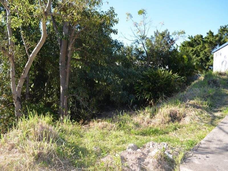 93c Darebin Street, Heidelberg, Heidelberg - Thumbnail 4