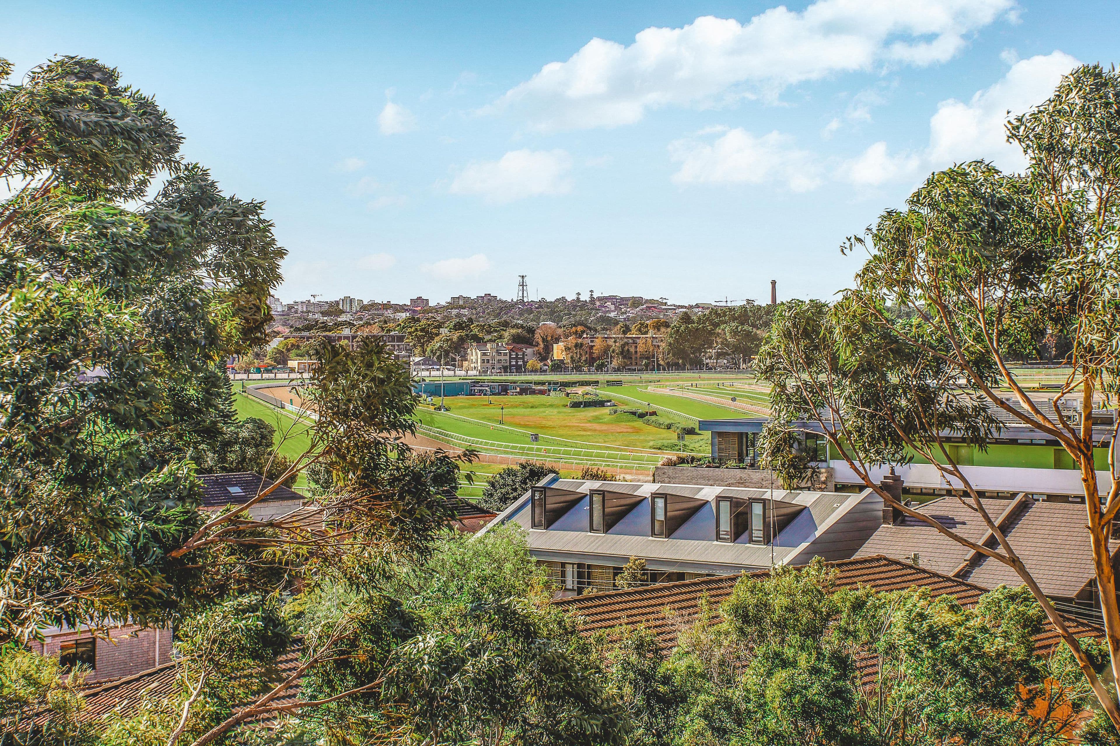260 Anzac Parade, Kensington NSW 2033, Kensington - Thumbnail 7