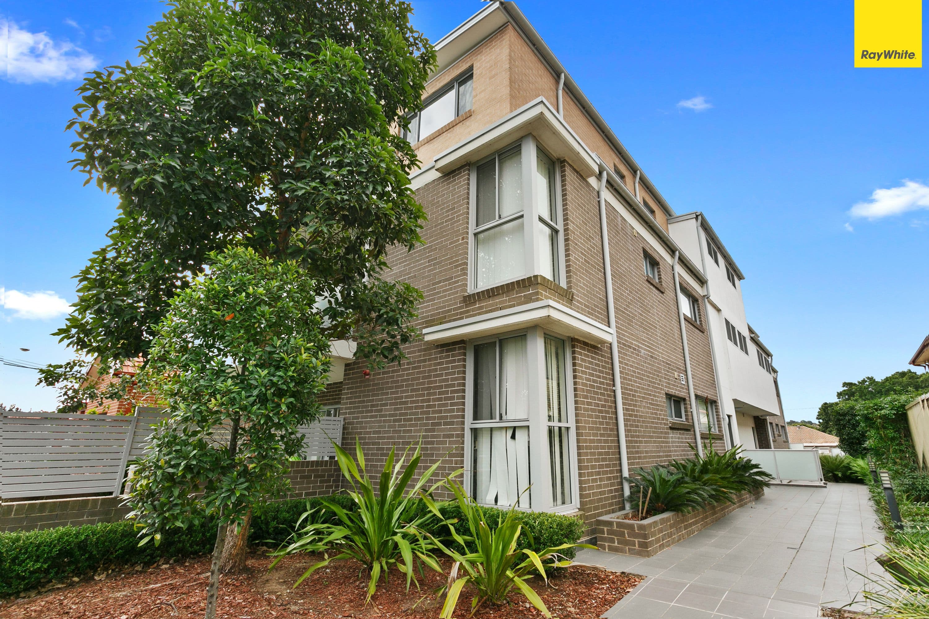 20 Wonga Street, Canterbury NSW 2193, Canterbury - Image 1