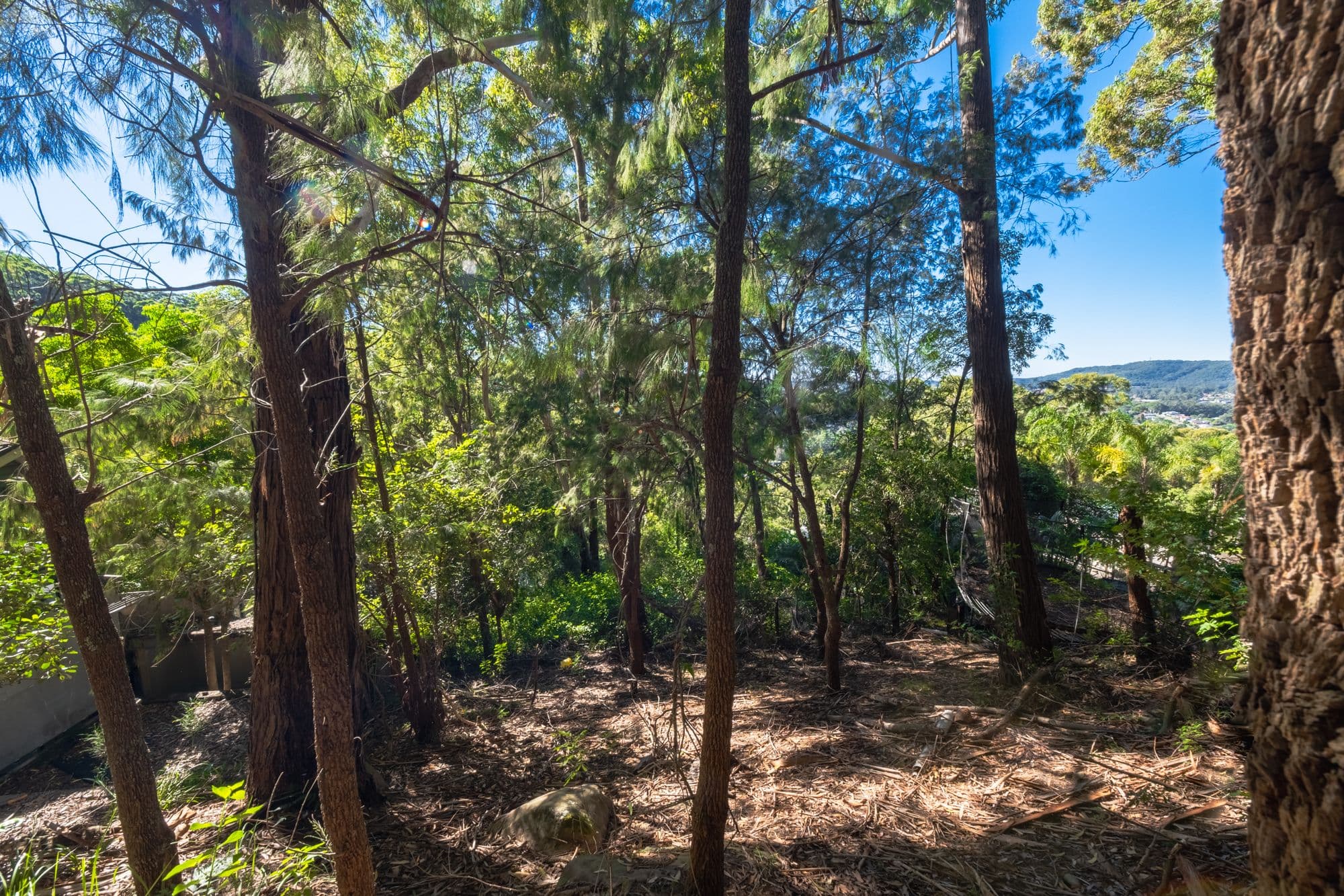 6 Denver Close, East Gosford NSW 2250, East Gosford - Thumbnail 3