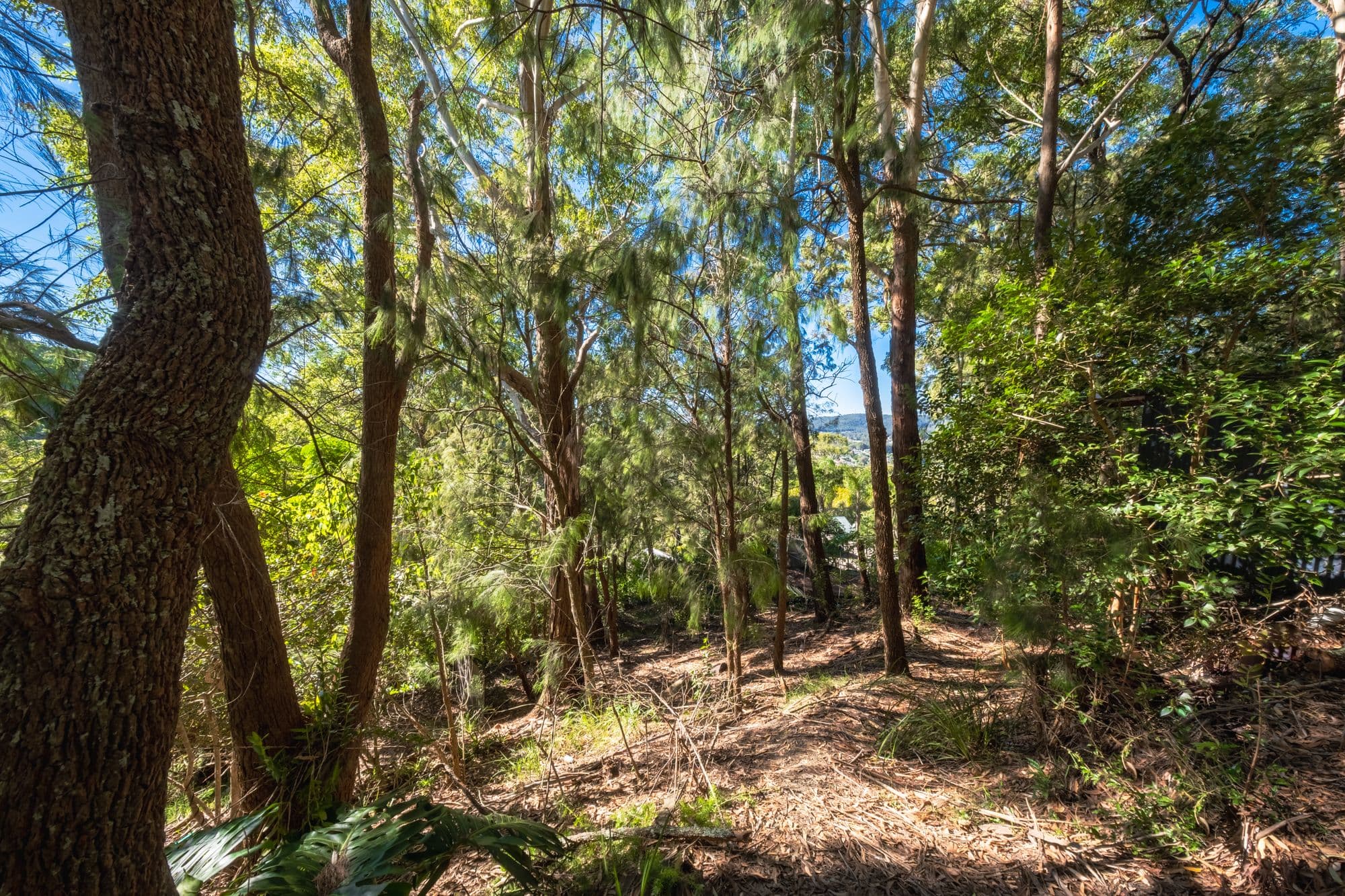 6 Denver Close, East Gosford NSW 2250, East Gosford - Thumbnail 4